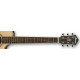IBANEZ AE205JR-OPN