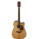 IBANEZ AVD9CE-NT