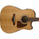 IBANEZ AVD9CE-NT