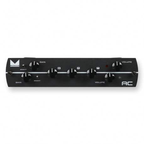 SYNERGY Morgan AC Preamp Module