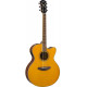YAMAHA CPX600 VT