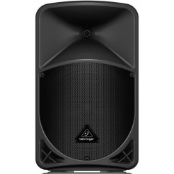 BEHRINGER B12X