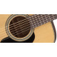 TAKAMINE GD10 NS