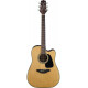 TAKAMINE GD10CE NS