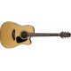 TAKAMINE GD10CE NS