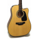 TAKAMINE GD10CE NS
