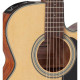 TAKAMINE GD10CE NS