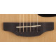 TAKAMINE GD10CE NS