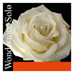 PIRASTRO WONDERTONE SOLO 410521