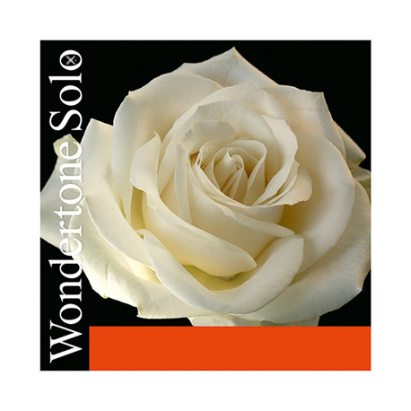 PIRASTRO WONDERTONE SOLO 410521