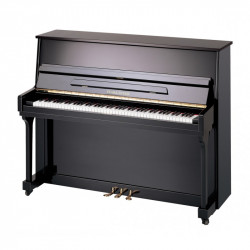PEARL RIVER UP115M2 EBONY+B (банкетка в комплекте)