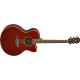 YAMAHA CPX600 Root Beer