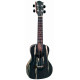 PARKSONS UKR24C