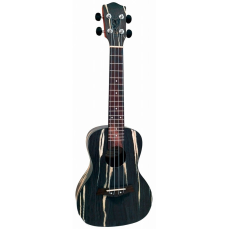 PARKSONS UKR24C