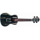 PARKSONS UKR24C