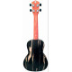 PARKSONS UKR24C
