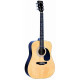 FALCON FG100N