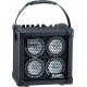 ROLAND Micro Cube Bass RX