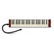 HAMMOND PRO-44H