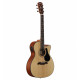 ALVAREZ AF30CE