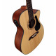 ALVAREZ AF30CE