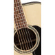TAKAMINE GD51 NAT