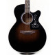 TAKAMINE EF450-TT TBB