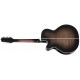 TAKAMINE EF450-TT TBB