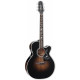 TAKAMINE EF450-TT TBB