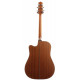 TAKAMINE P1DC