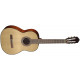 CORT AC100 OP
