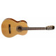 LA PATRIE 000357 - Etude QI