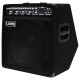 Laney AH300