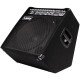 Laney AH300
