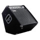 Laney AH300