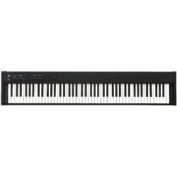 KORG D1