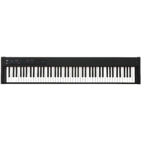 KORG D1