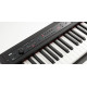 KORG D1