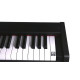 KORG D1