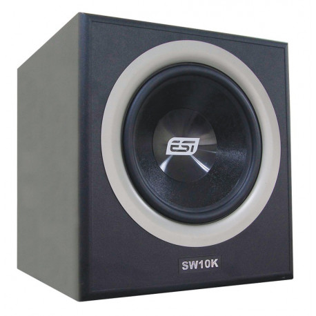 ESI SW10 EXPERIENCE