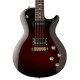PRS SE Chris Robertson