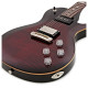 PRS SE Chris Robertson