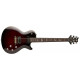 PRS SE Chris Robertson