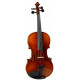 STRUNAL STRADIVARIUS 150 1/4