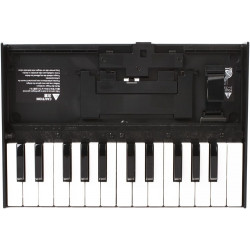 ROLAND K25m