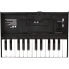 ROLAND K25m