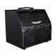 ASHDOWN AA-100-R