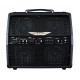 ASHDOWN AA-100-R