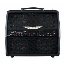 ASHDOWN AA-100-R