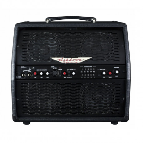 ASHDOWN AA-100-R